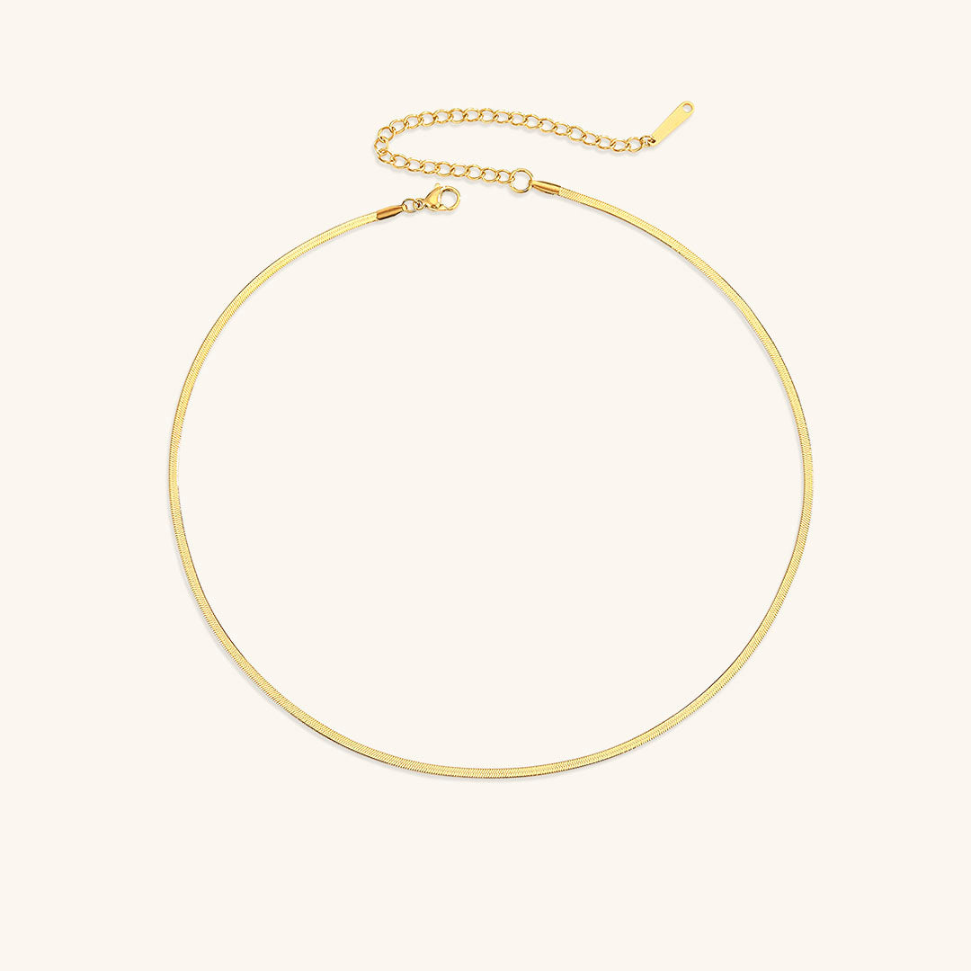 Elizabeth Gold Herringbone Necklace + Complimentary Earrings